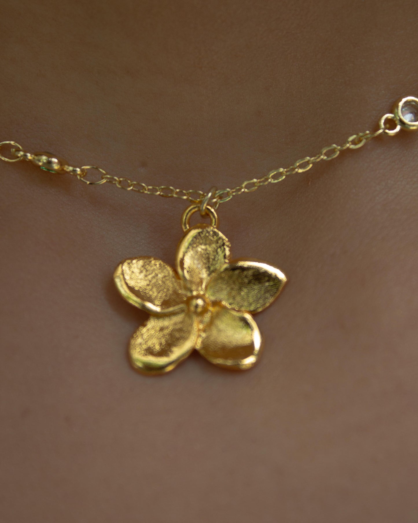 Basic Chain And Charms/ Cadena Básica y dije